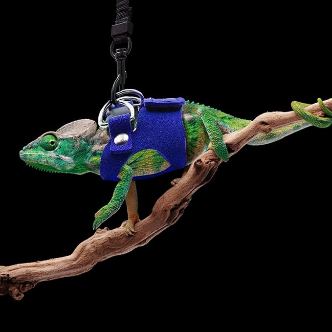 Bearded Dragon Harness and Leash Set, 3 Size Adjustable Soft Leather Reptile Leash, Lizard Harness with Retractable, Small Animal Outdoor Walking Vest with Traction Rope, 3 Pack (Blue)