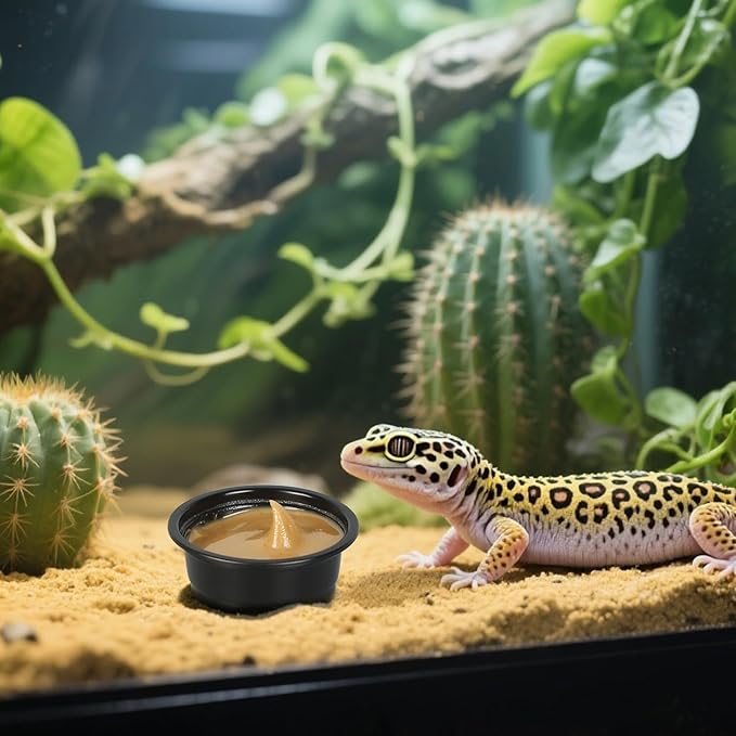 Plastic Gecko Feeding Cups, 0.5 oz Small Terrarium Bowls Reptiles Food Water Feeder Ledge Cups for Lizars,Bearded Dragon,Snake,Frogs, 100Pack Black