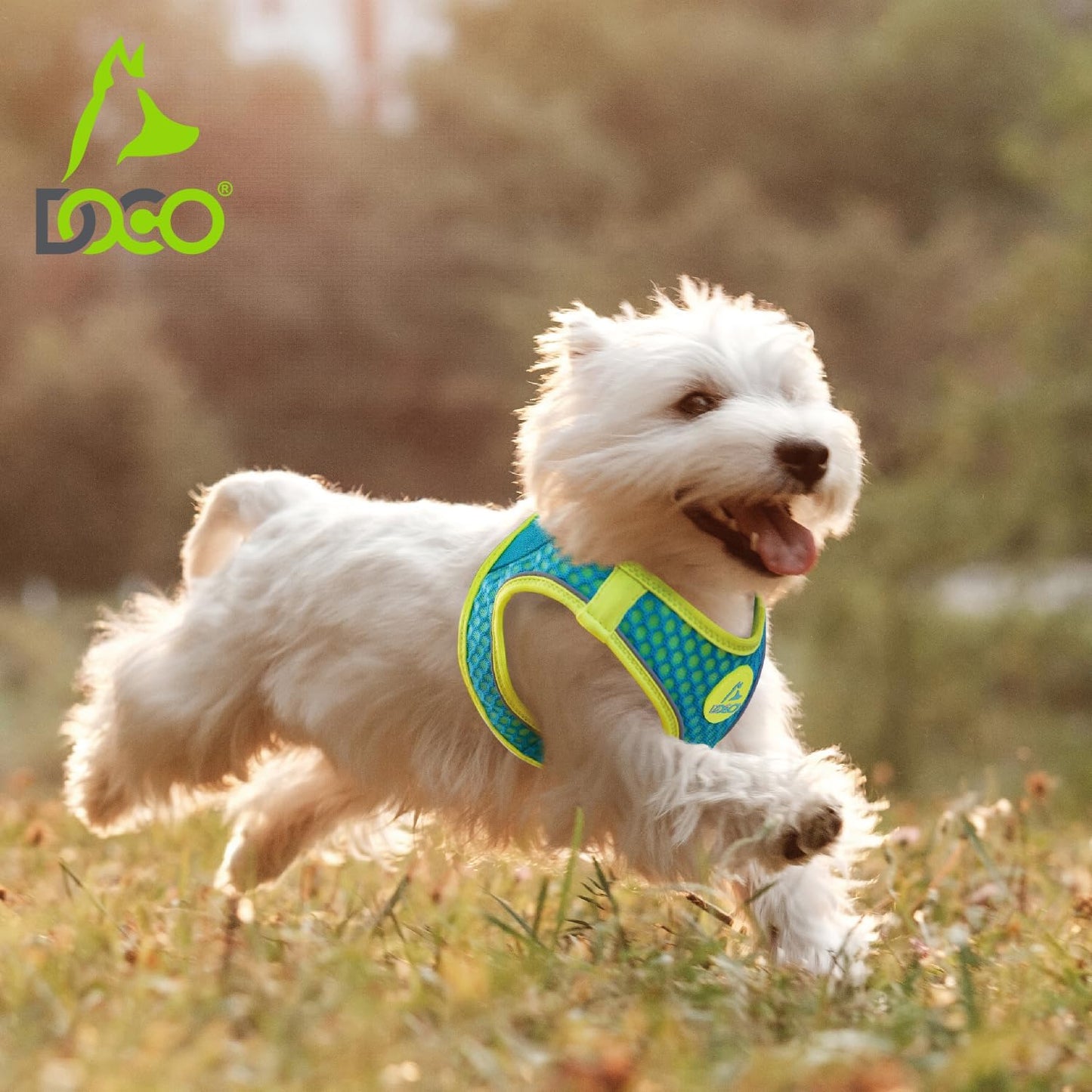 DOCO Dog Harness for Medium Sized Dog - Athletica Adjustable, No Pull, No Choke, Puppy Vest Lightweight Air Mesh, Reflective, Puppy Essentials – Turquoise, Medium (Chest 16"-17", Weight 10–15 lbs)