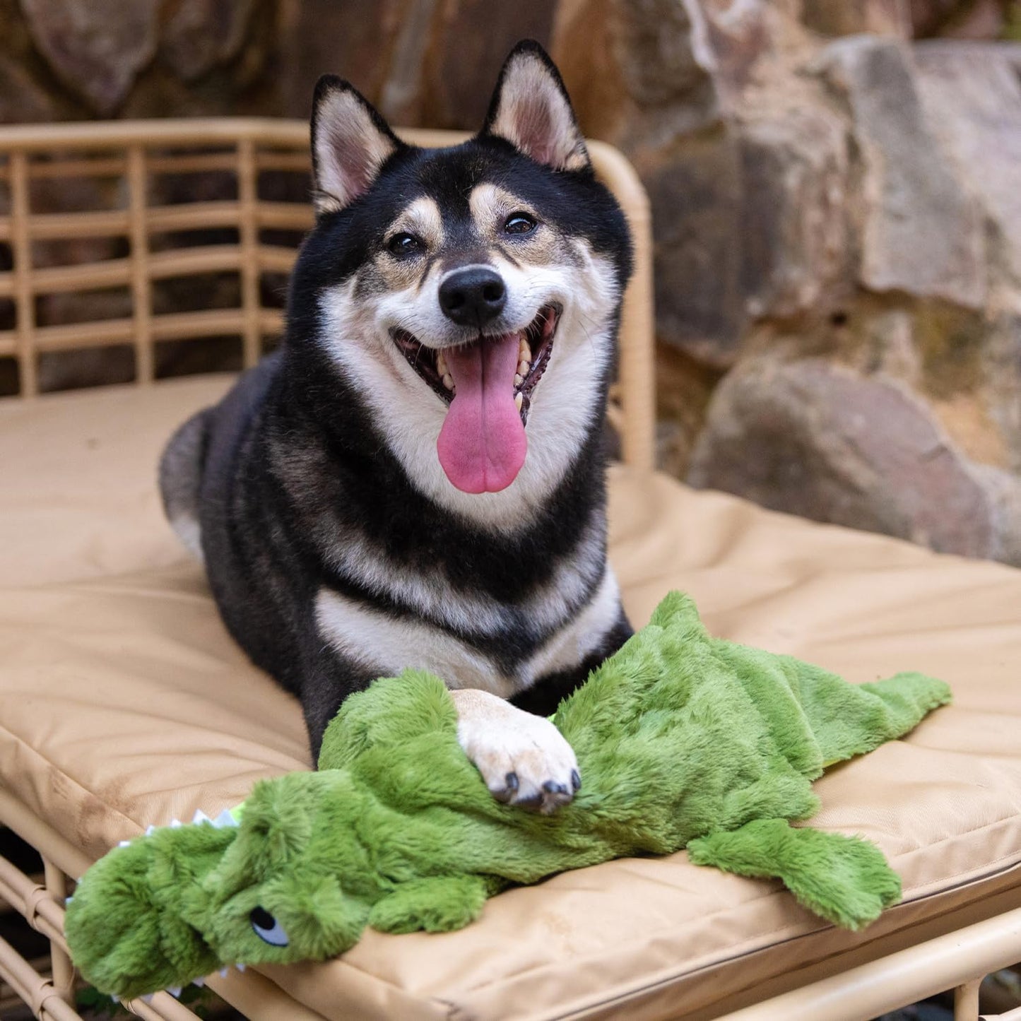 Best Pet Supplies Squeaky Dog Toys with Soft Durable Fabric for Small, Medium and Large Pets Interactive Toy for Indoor Play, Supports Active Biting and Play - Alligator, Medium