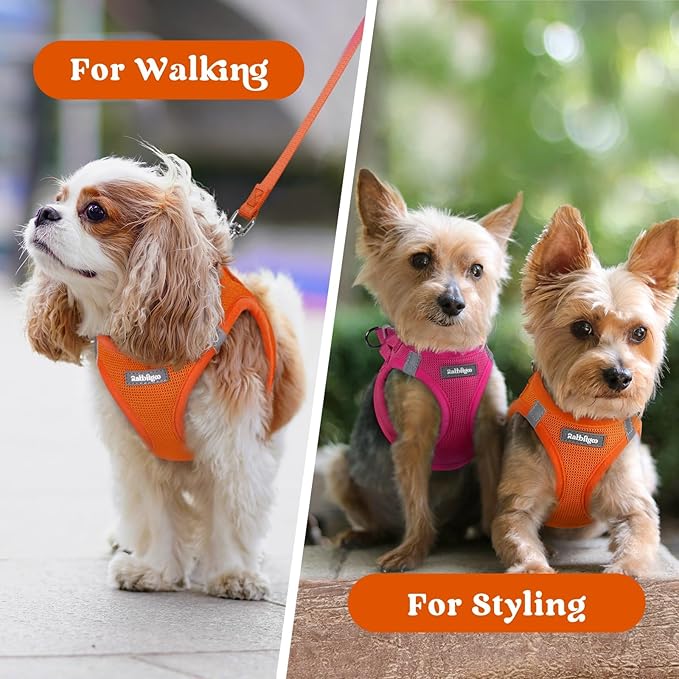 rabbitgoo Small Dog Harness, Step-in Soft Mesh Puppy Vest with Safety Buckle, Breathable Reflective Pet Harness for Extra Small Dogs, Orange XXXS