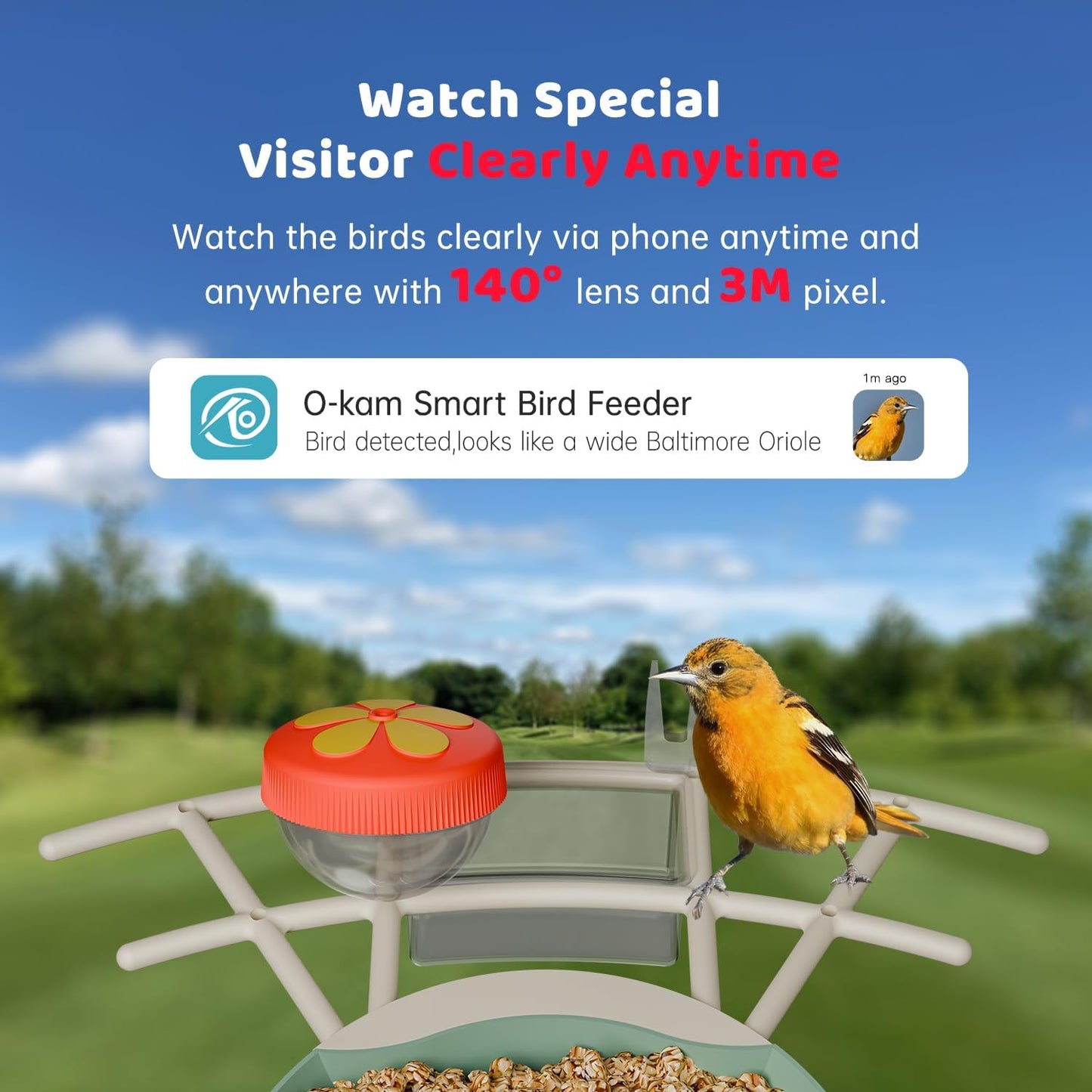 Bird Feeder with Camera Solar Powered, Smart Bird Feeder with AI Identify, 2K HD Live View and Instant Notification, Ideal Gift for Bird Lover(with 32G Card)