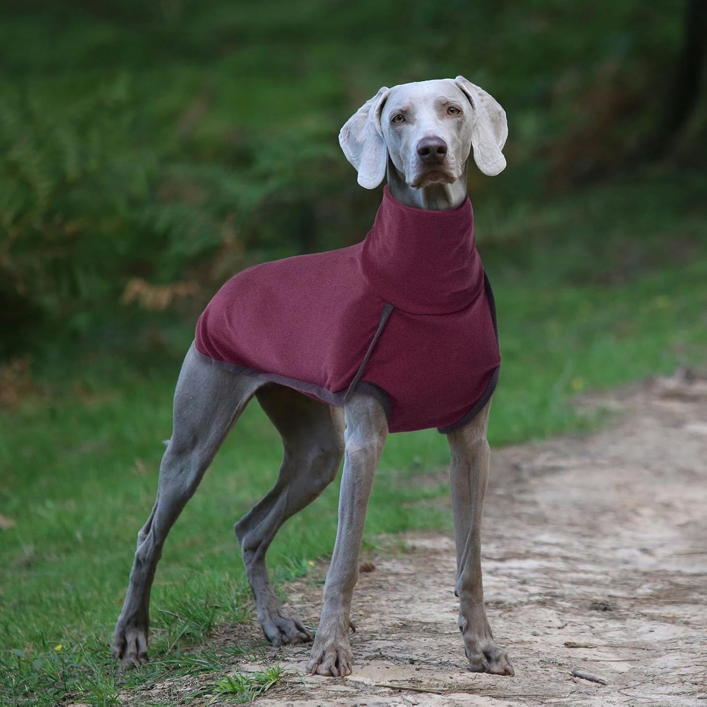 ROZKITCH Dog Winter Coat Soft Pullover Pajamas, Pet Windproof Warm Cold Weather Jacket Vest Cozy Jumpsuit Apparel Outfit Clothes for Walking Hiking Travel Sleep Red 2XS