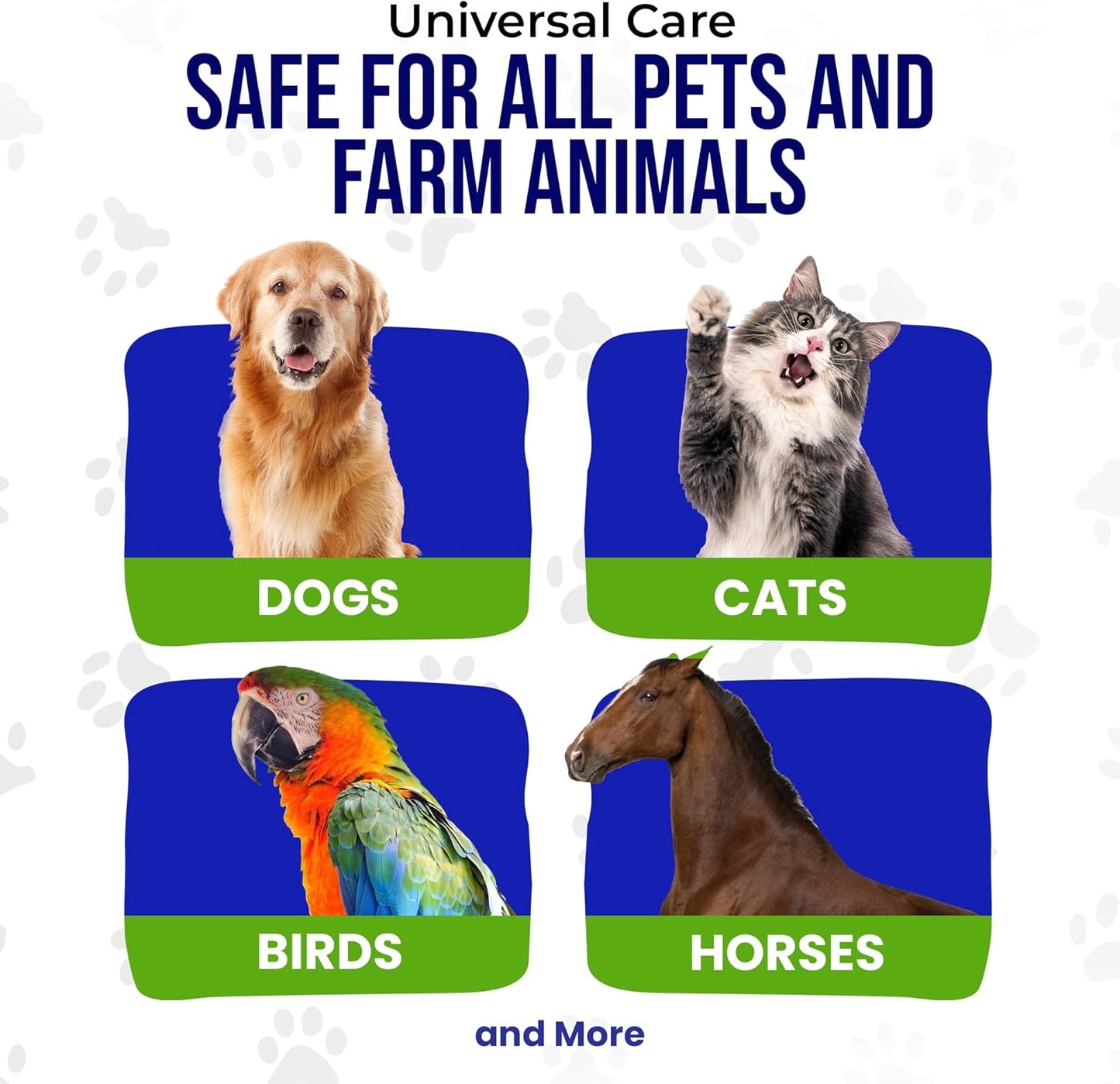 Holistic Pet Care - Colloidal Silver Spray for Dogs, Cats, Horses & Birds - 20 PPM Effective Wound Care, Hot Spot Treatment, Skin Relief & Immune Support - All-Natural Pet Silver Spray (16 Oz)