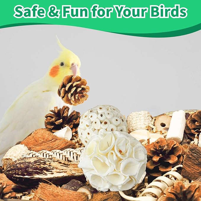 Natural Bird Foraging & Parrot Shredding Toys Box - Interactive Chewing and Foraging Toys for Parakeets, Cockatiels, Conures, Love Birds, and Small to Medium Birds