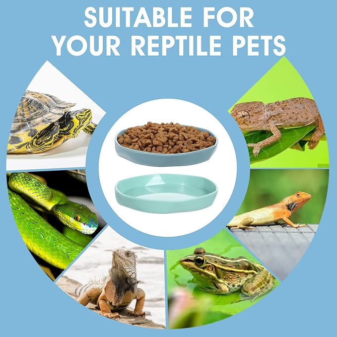 4 Pack Reptile Bowl, Round Plastic Reptile Dish,Food Dishes Lizard Tank,Lizard Water Bowl for Gecko, Bearded Dragon, Chameleon, 4.45" W x 4.45" D x 0.6" H, Muticolors