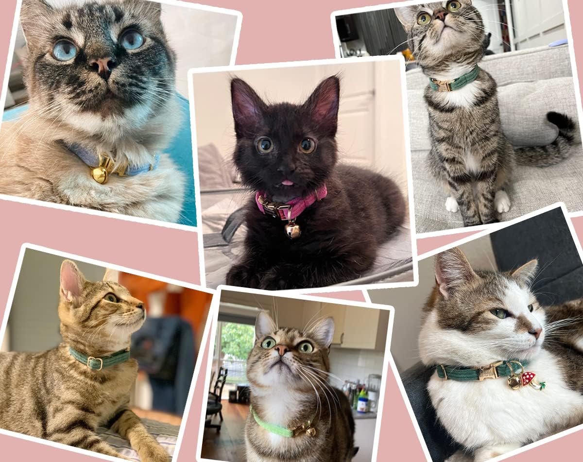 Personalized Cat Collar with Engraved Name Phone Number for Boy and Girl Kitten