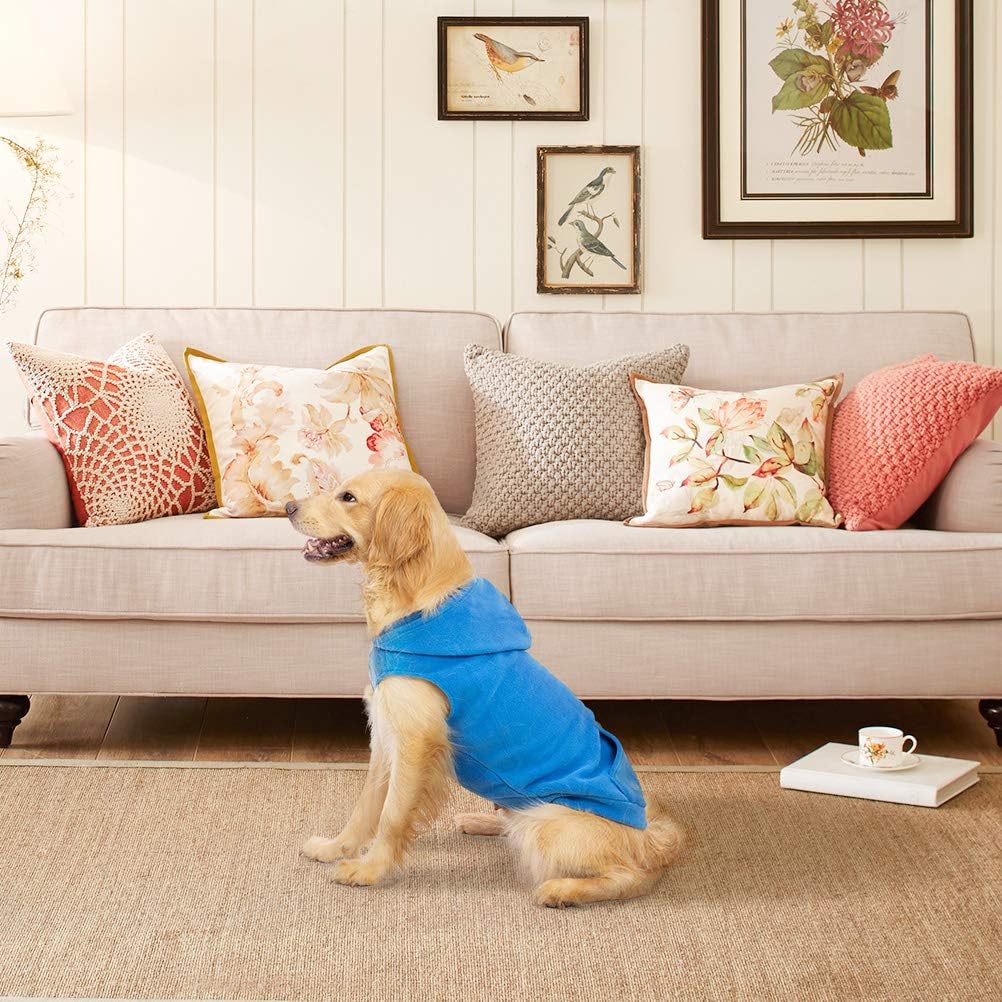 EXPAWLORER Dog Hoodie Fleece Sweater Vest, Hooded Dog Sweatshirt Fall Winter Pet Clothes with Leash Hole, Sleeveless Warm Cozy Puppy Clothing for Cat Small Medium Large Dogs Girl Boy, Blue L