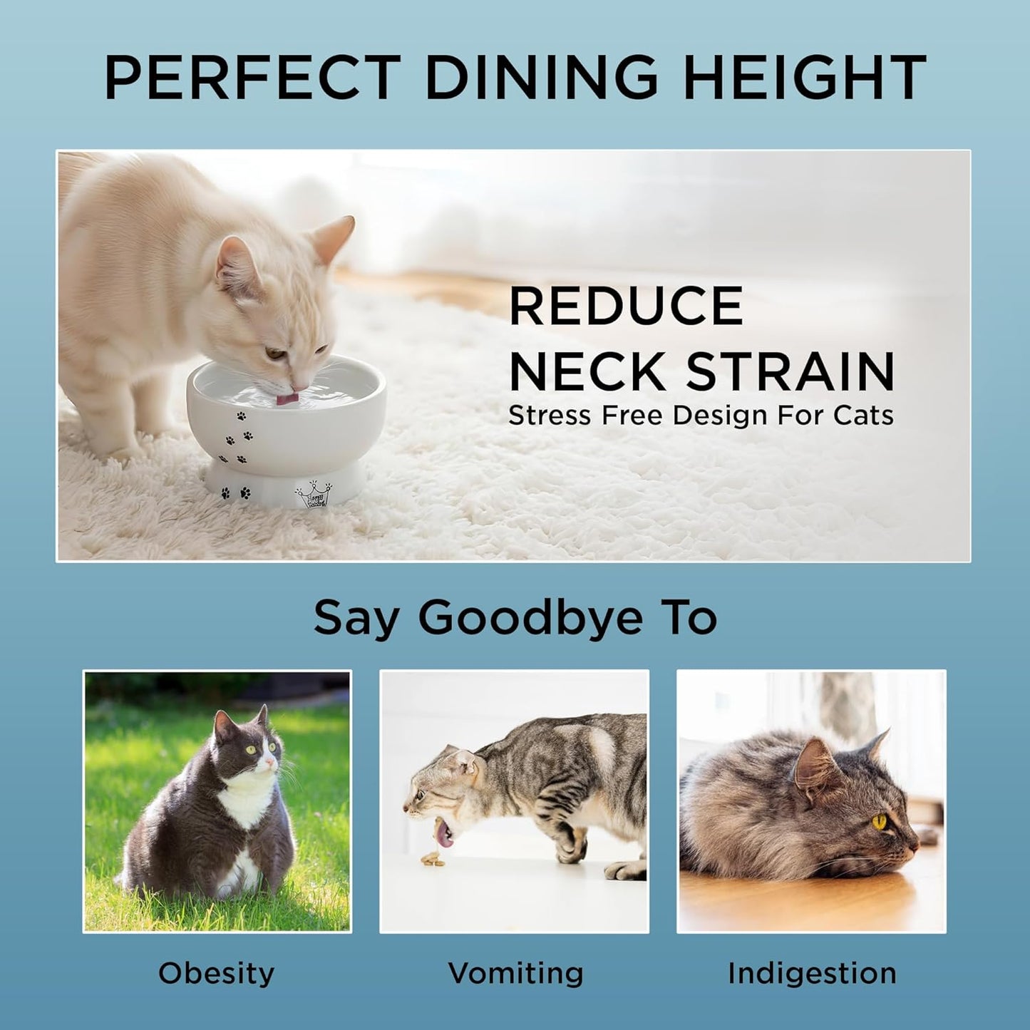 Necoichi Elevated Cat Water Bowl – Ceramic Raised Cat Bowl, Prevents Neck & Whisker Fatigue – Dishwasher & Microwave Safe – Pet Water Bowl for Cats (Cat, Regular)