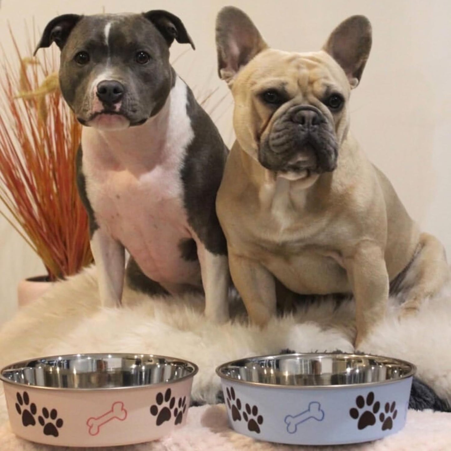 Loving Pets Bella Dog Bowls- Stainless Steel Dog & Cat Bowls - Spill Proof Dog Food Bowl, Cat Bowl, Puppy Essentials & Pet Supplies Great for Home & Travel (Medium 20-35 lbs, Paparazzi Pink)