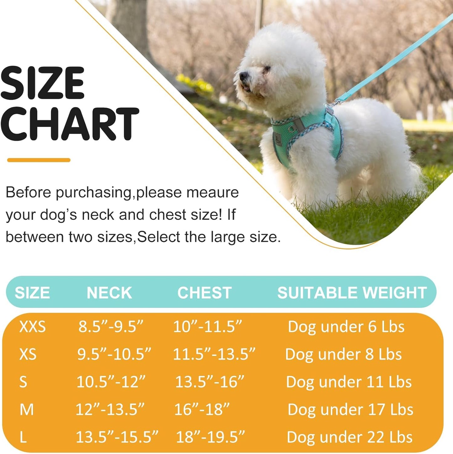 Dog Harness & Leash Set - No Pull Soft Breathable Small Dog Harness, Adjustable Reflective Step-in Vest for Puppy, Kitten, Cats