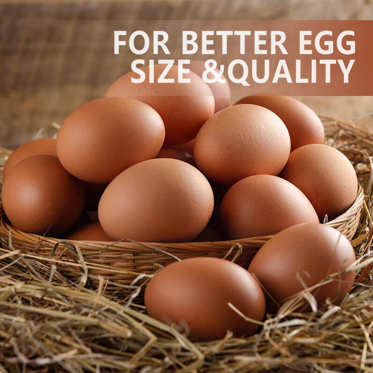 Organic Dried Mealworms for Chickens 5 LB Natural Non-GMO Mealworms High Protein Chickens Feed Meal Worms for Chicken Wild Birds Bluebirds Ducks Turtles Reptiles Laying Hens Treats & Food