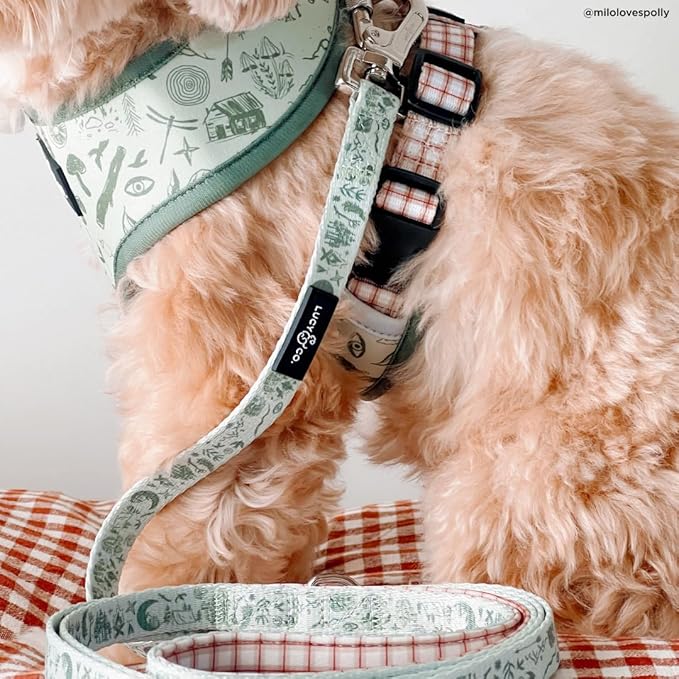 Lucy & Co. Cute Reversible Dog Harness Walking Halter - Best Designer Pet Harnesses for XS - XL Dogs - Padded Adjustable Vest for Easy Walking-Large-Green Outdoor Plaid