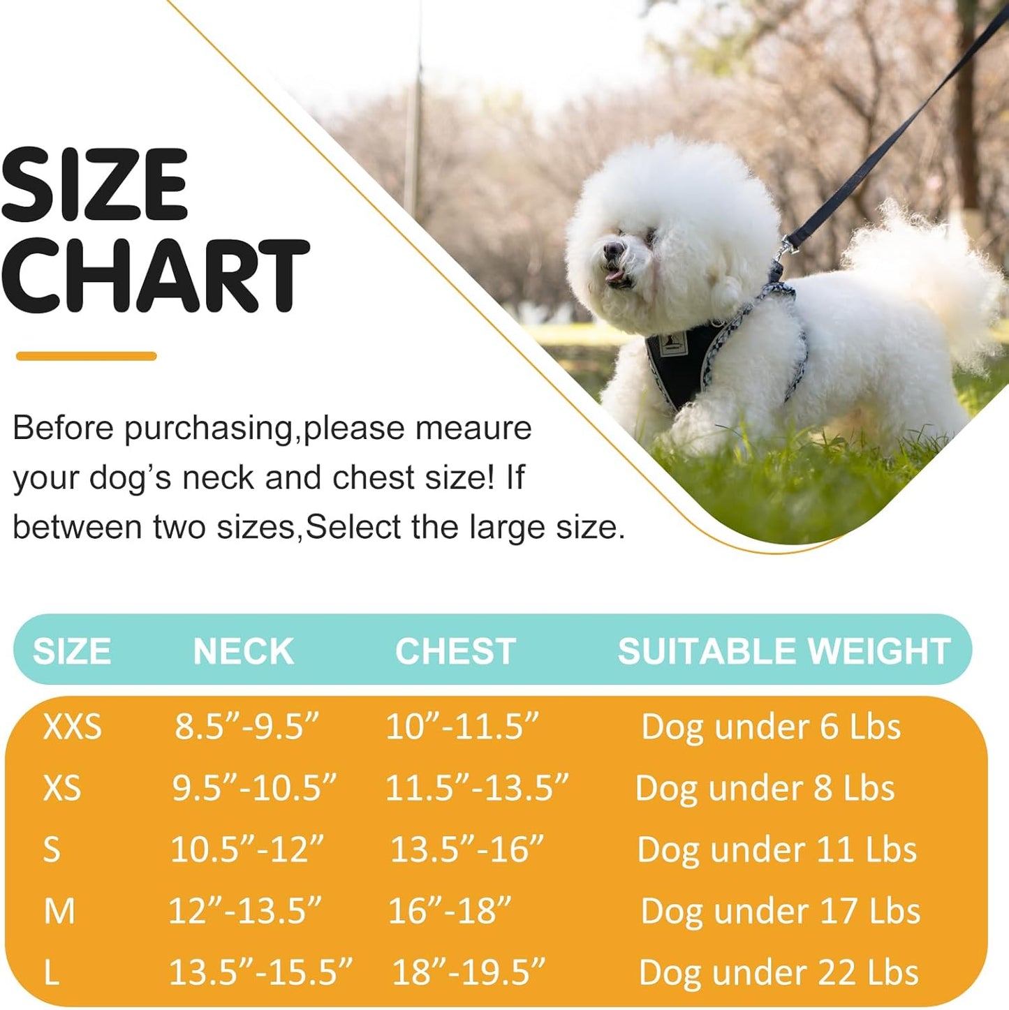 Dog Harness & Leash Set - No Pull Soft Breathable Small Dog Harness, Adjustable Reflective Step-in Vest for Puppy, Kitten, Cats