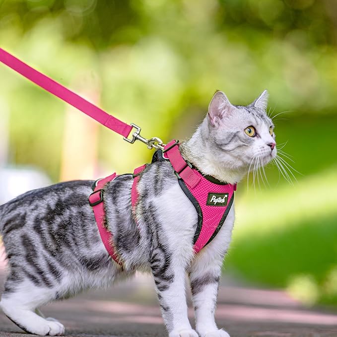 PUPTECK Cat Harness and Leash Set Escape Proof for Walking, Breathable Mash Vest Adjustable Harness for Cats Puppy Small Animals, Reflective at Night, Fuschia Small