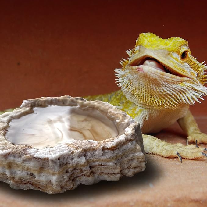 2 Pack Reptile Food Bowls - Reptile Water and Food Bowls with Tongs Imitating Natural Rock,Breadworm Feeding for Leopard Gecko Lizard Spider Scorpion Chameleon (2 Pcs Light Color)