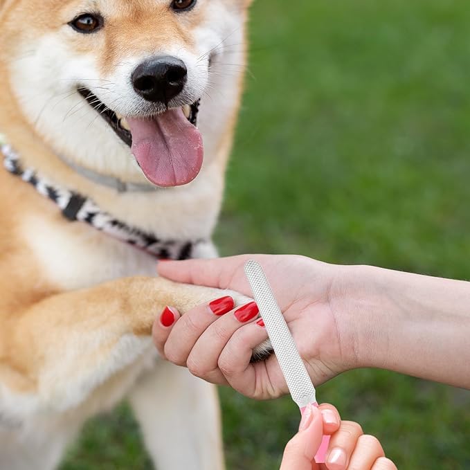 4.9"Small Dog & Cat Nail Clipper 2 Pcs Dogs and Cats Grooming Nails Clippers Kit Pet Nail Clipper with Nails File Pet Trimmers for Rabbits Guinea Pigs Birds Puppies Kittens Avoid over Cutting Toenail