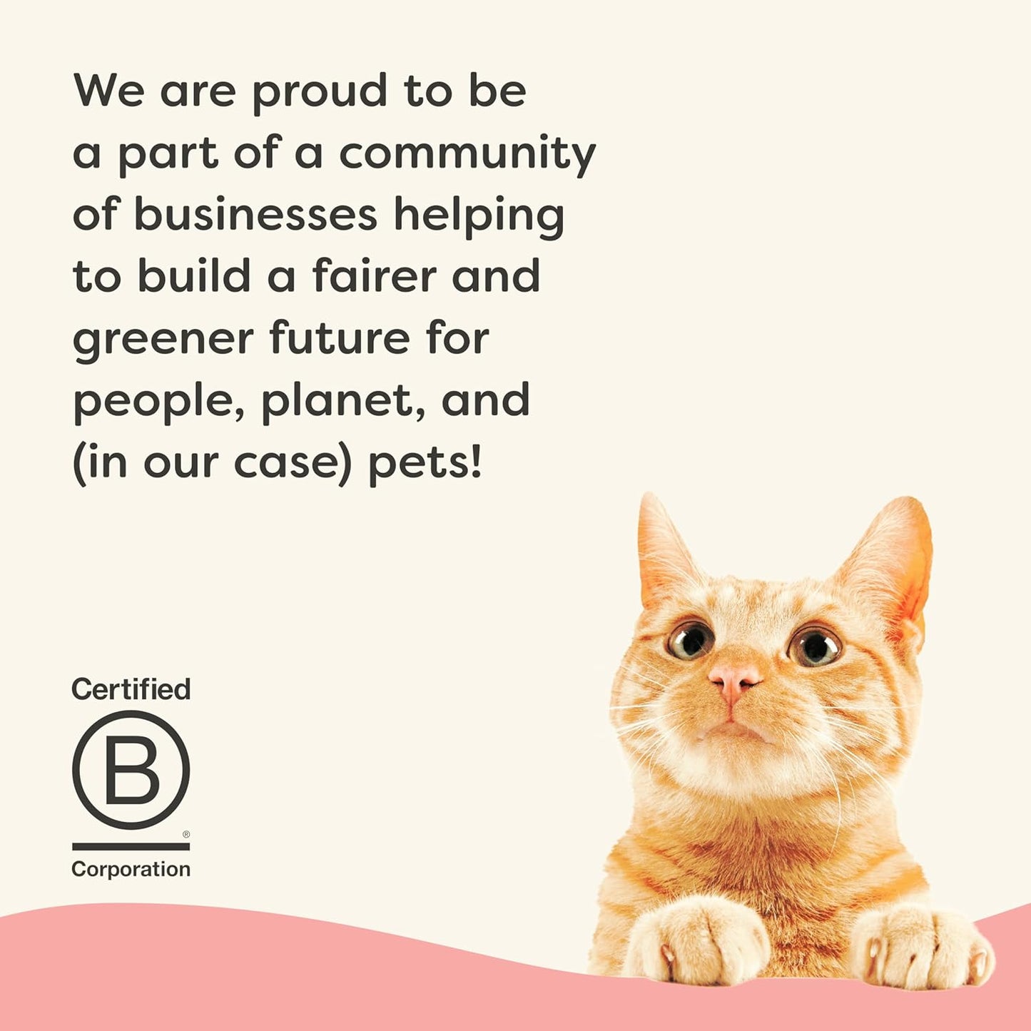 Applaws Vitality Wet Cat Food Paté, Natural Cat Food with Added Vitamins & Minerals, Grain-Free, Carrageenan Free, Tuna Fillet and Salmon Recipe (24 Count, 2.47 oz Cans)