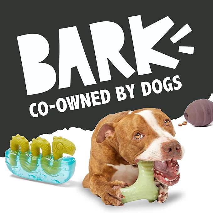 Barkbox Super Chewer Tough Dog Chew Toys for Aggressive Chewers, Dental Stimulating (Iguana - Large)