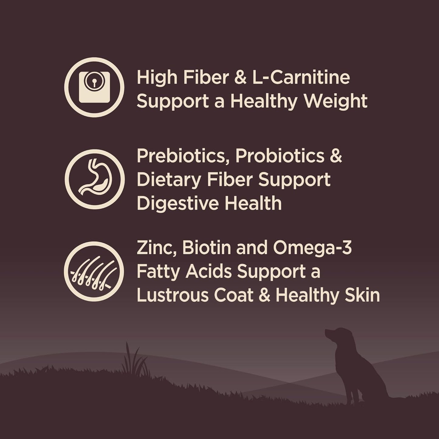 Wellness CORE Dry Dog Food, Grain-Free, High Protein, Natural, Healthy Weight Turkey & Chicken Recipe, (12-Pound Bag)