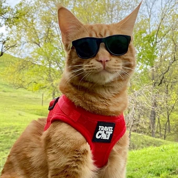 Travel Cat Harness and Leash Set - Adjustable Fit Mesh Cat Harness and Reflective Strap - Comfort Walking Vest for Kitten for Outdoor Walking, Hiking (Small, Red)