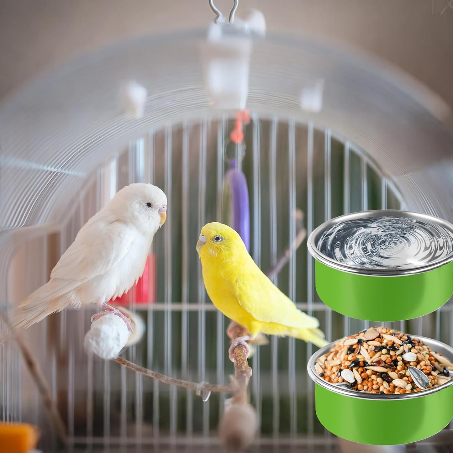 8 Pcs Stainless Steel Bird Bowls, Small Bird Food Dishes for Cage, Parrot Cage Feeder with Clamp Holder for Parakeet/Cockatiels/Conure/Budgies/Ferret/Small Animal