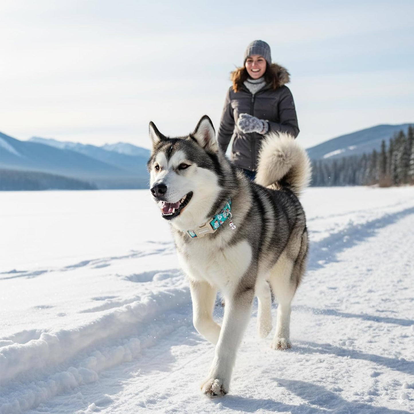 Christmas Dog Collar,Soft Cotton Dog Collars for Medium Dogs, Dog Christmas Collar with Santa for Small Medium Large Dogs, Adjustable Green Collars Perfect for Girl or Boy Dog Collars-M
