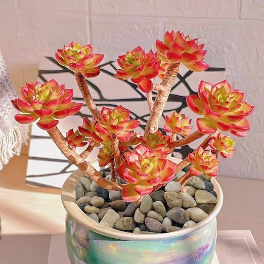 20LB Aquarium Gravel, 1/4" Pea Gravel for Fish Tank, Small River Rocks for Garden Decoration, Landscaping, Vase Filling, Flower Pot Paving(4-8MM)