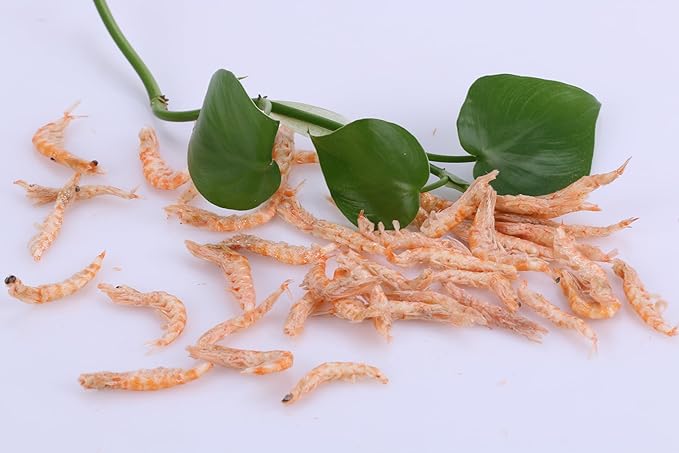 Premium Freeze-Dried Krill & Shrimp Mix Ideal for Arowana, Koi, Tropical Cichlids, and Turtles High Protein Floating Aquarium Food (1000ml)