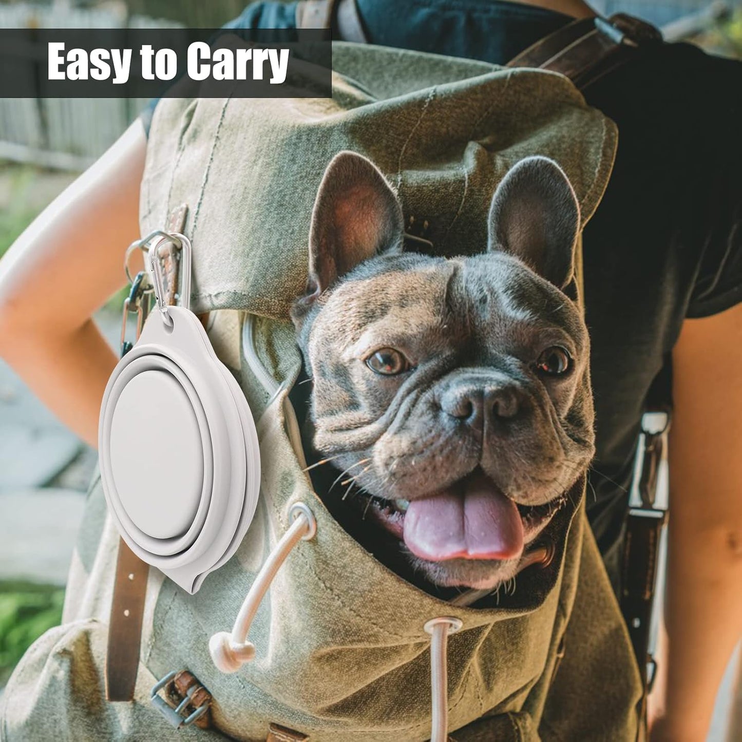 SLSON Collapsible Dog Bowls,Integrated Molding Dog Double Bowl No Plastic Rim 2 in 1 Foldable Pet Food & Water Bowl Cat Feeder Dish for Walking,Hiking,Camping (Cold Grey)