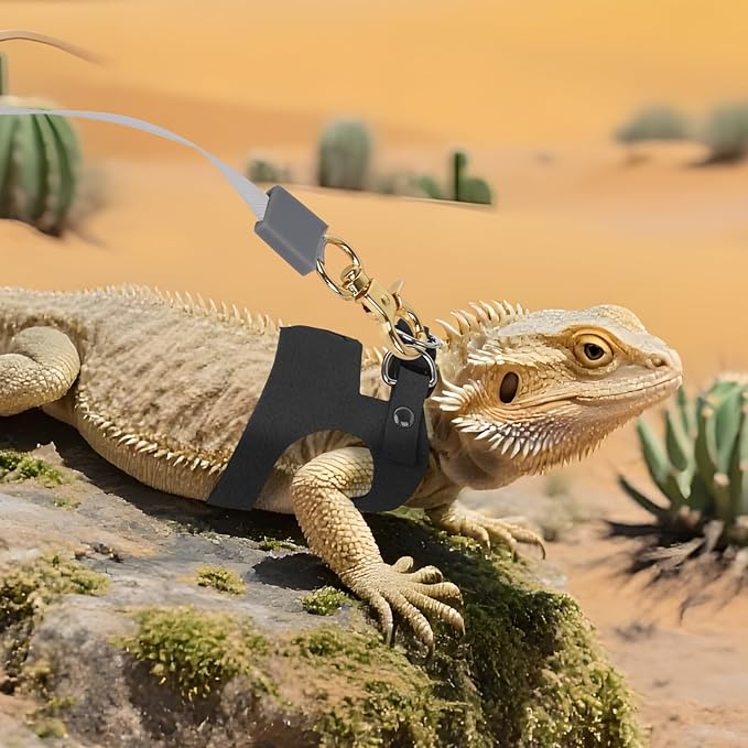3Pack Bearded Dragon Leash and Harness Set, Bearded Dragon Accessories Clothes Stuff, Adjustable Easy Walk Rat Harness with 6.56 ft, Vest Accessories for Reptile Squirrel Rat Walking (3 Size, Black)
