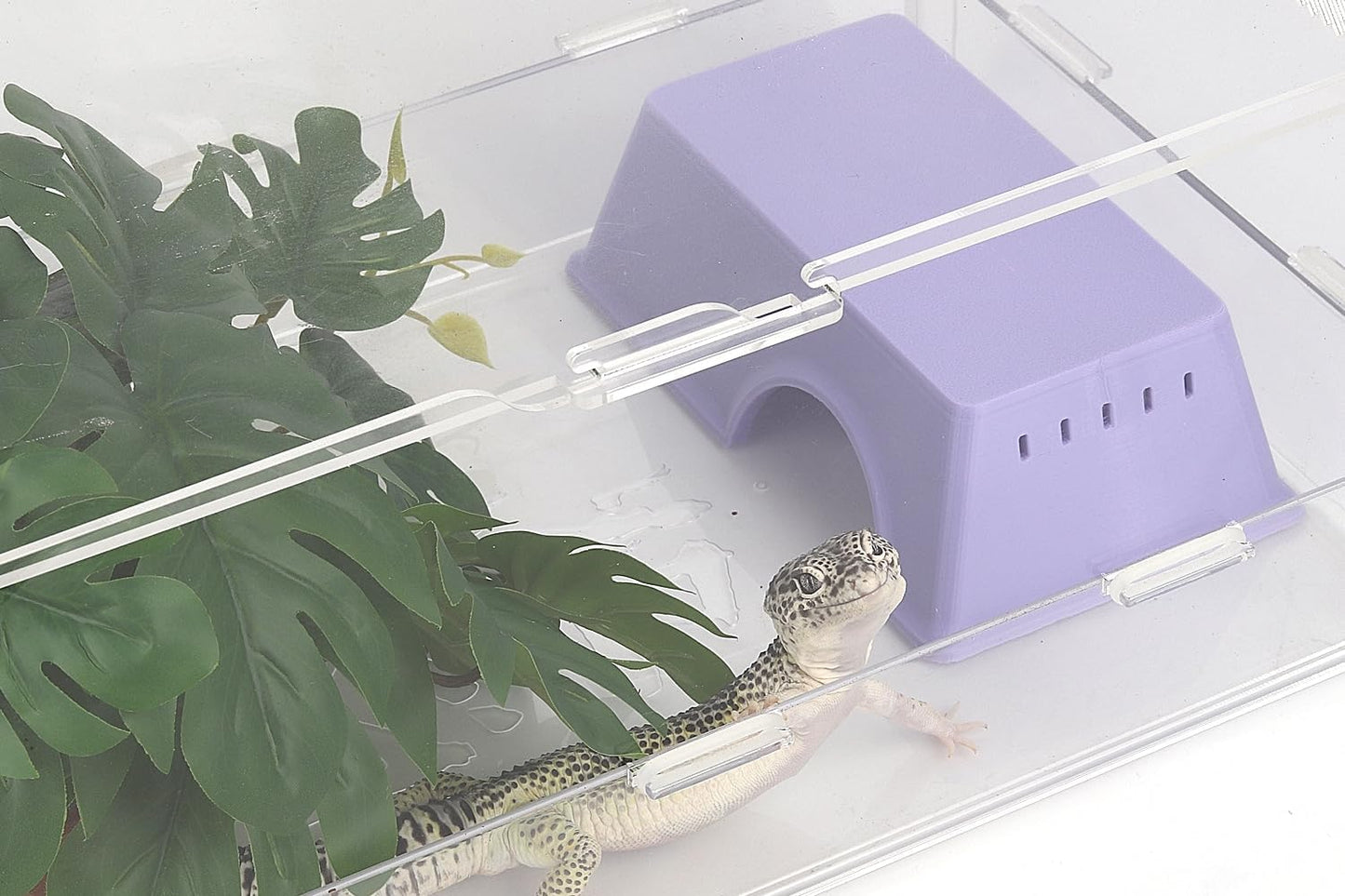 Snake Hide, Leopard Gecko Tank Accessories for Reptile Ball Python Crested Gecko Lizard Bearded Dragon - PurpleHideM