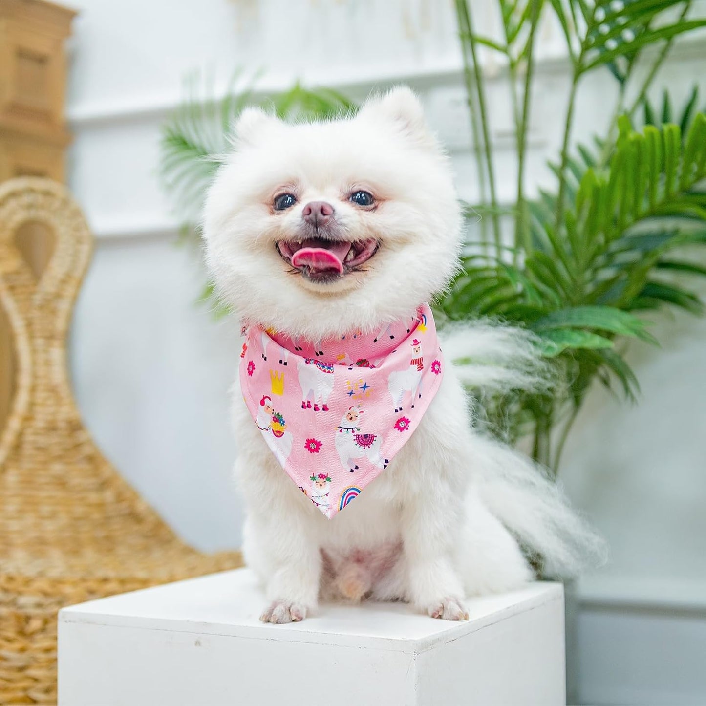 PUPTECK Adjustable Dog Harness Collar and Leash Set, Step in No Pull Pet Harness for Small Medium Dogs Puppy Cats Outdoor Walking, Soft Mesh Padded Reflective Vest Harnesses, Light Pink Alpaca, M