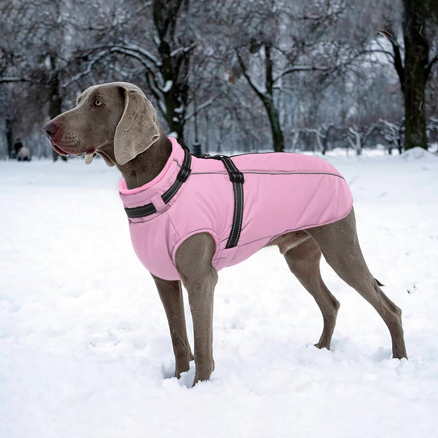 Lelepet Waterproof Dog Jacket with Harness Built in Warm Dog Winter Coat, Reflective Fleece Jacket, Windproof Dogs Coats for Small Dogs, Thermal Pet Snowsuit for Cold Weather, Maltese, Pink, XS