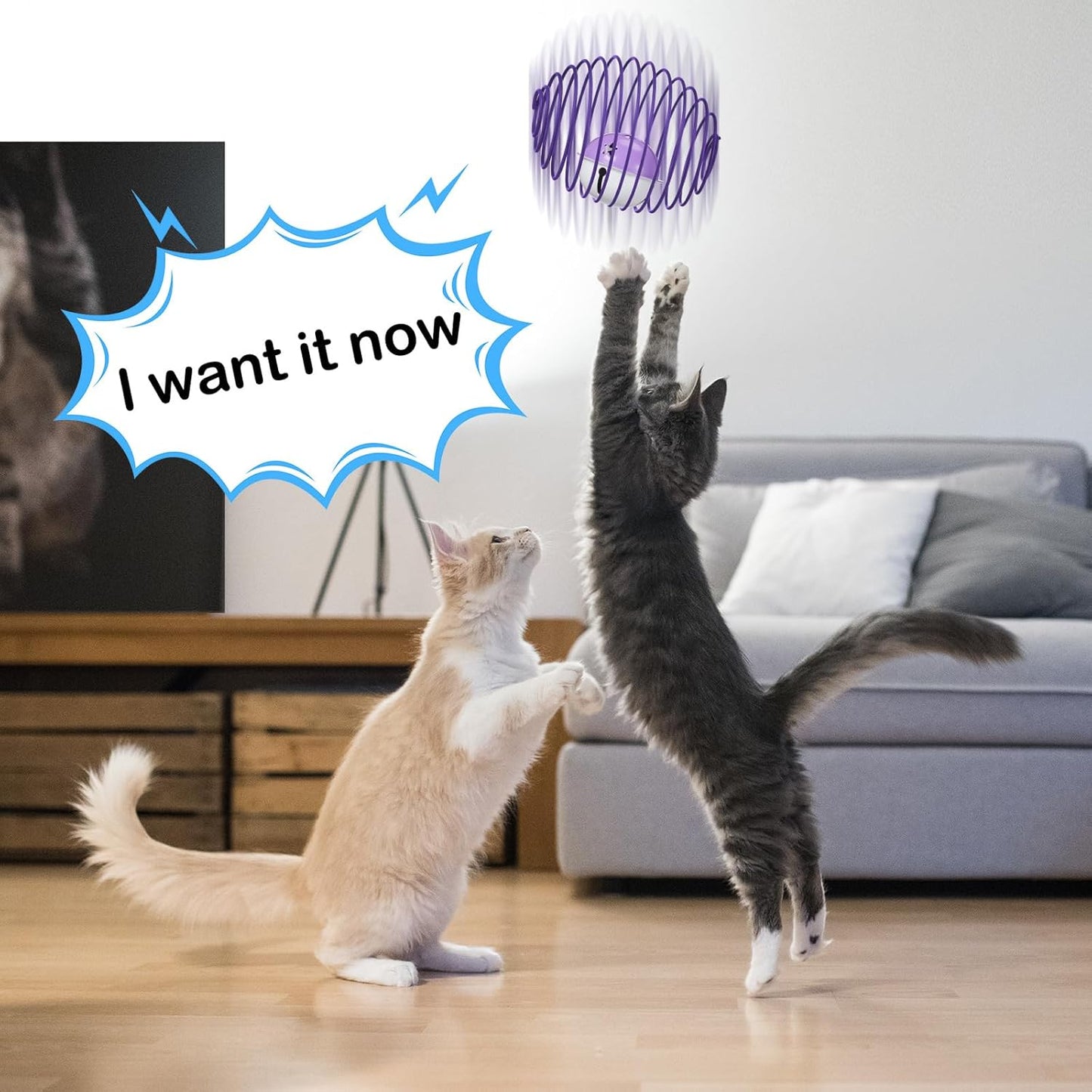 Jecery 5 Pcs Halloween Cat Spring Balls Toys Stretchable Rolling Balls Colorful Playful Coils Interactive Spring Action Toy Caged Rats for Kitten Cat Pet Supplies(Mouse and Bell,Multicolor,5 Pcs)