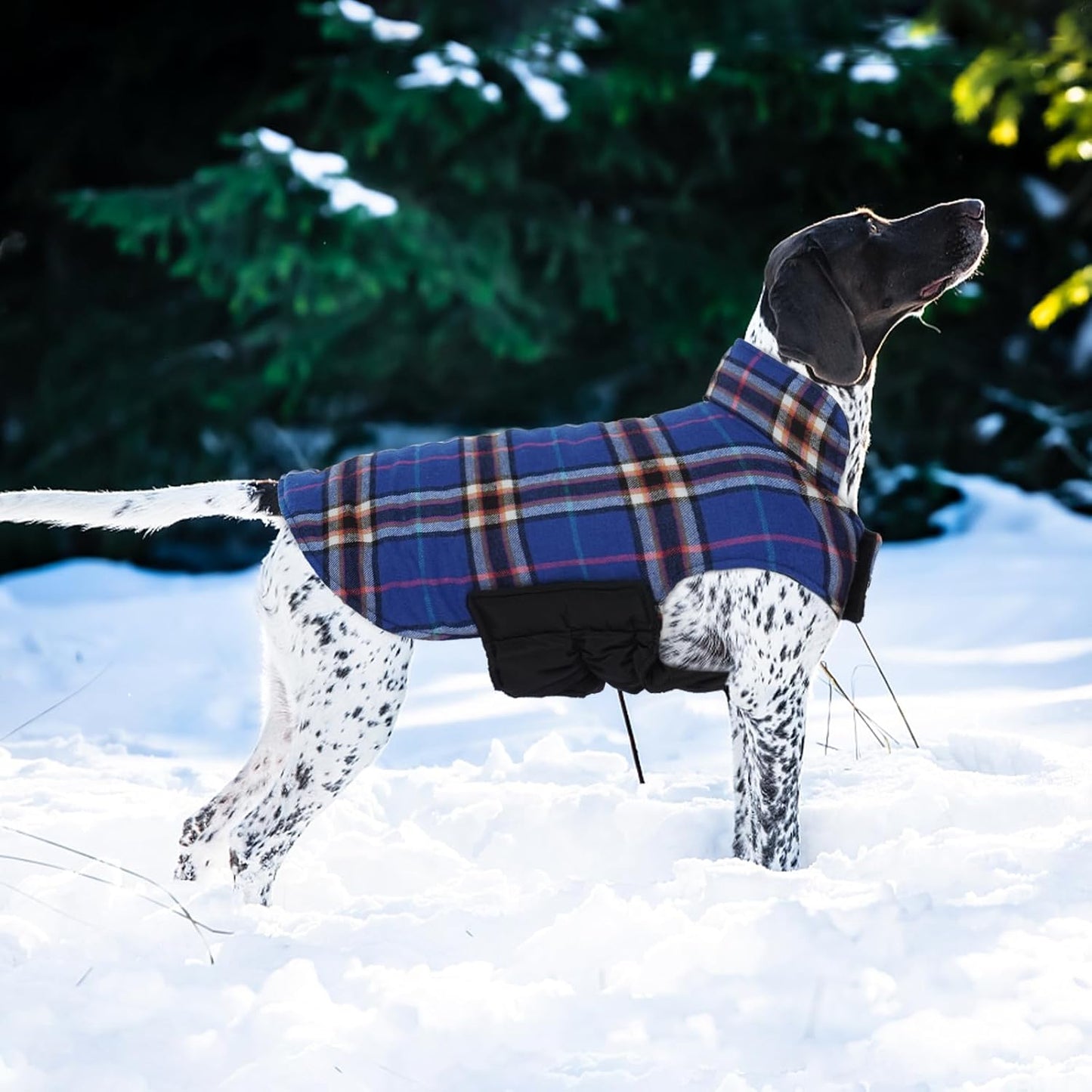 Kuoser Waterproof Dog Coat, Reversible Dog Jacket for Small Dogs, Adjustable Durable Doggie Winter Coat Warm Cozy Puppy Cold Weather Apparel from Small to Large Breed, Navy S