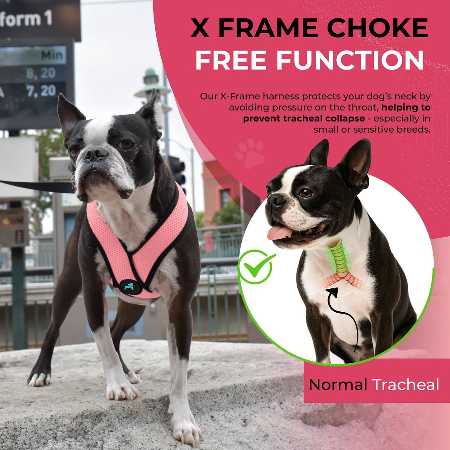 Gooby Comfort X Head In Harness - Pink, X-Large - No Pull Small Dog Harness Patented Choke-Free X Frame - Perfect on the Go Dog Harness for Medium Dogs No Pull or Small Dogs for Indoor and Outdoor Use