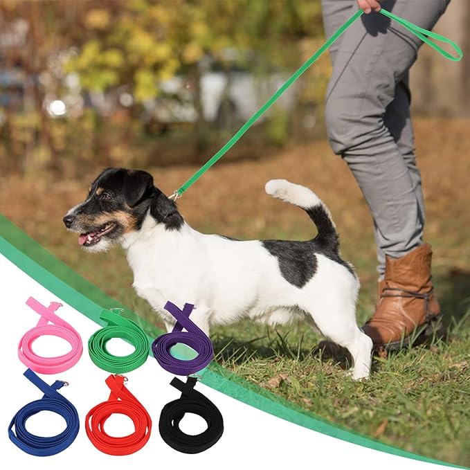 Hypeety 6 Pcs Bulk Pack Slip Leads Dog Pet Grooming Kennel Small Animal Control Shelter Lead Leash