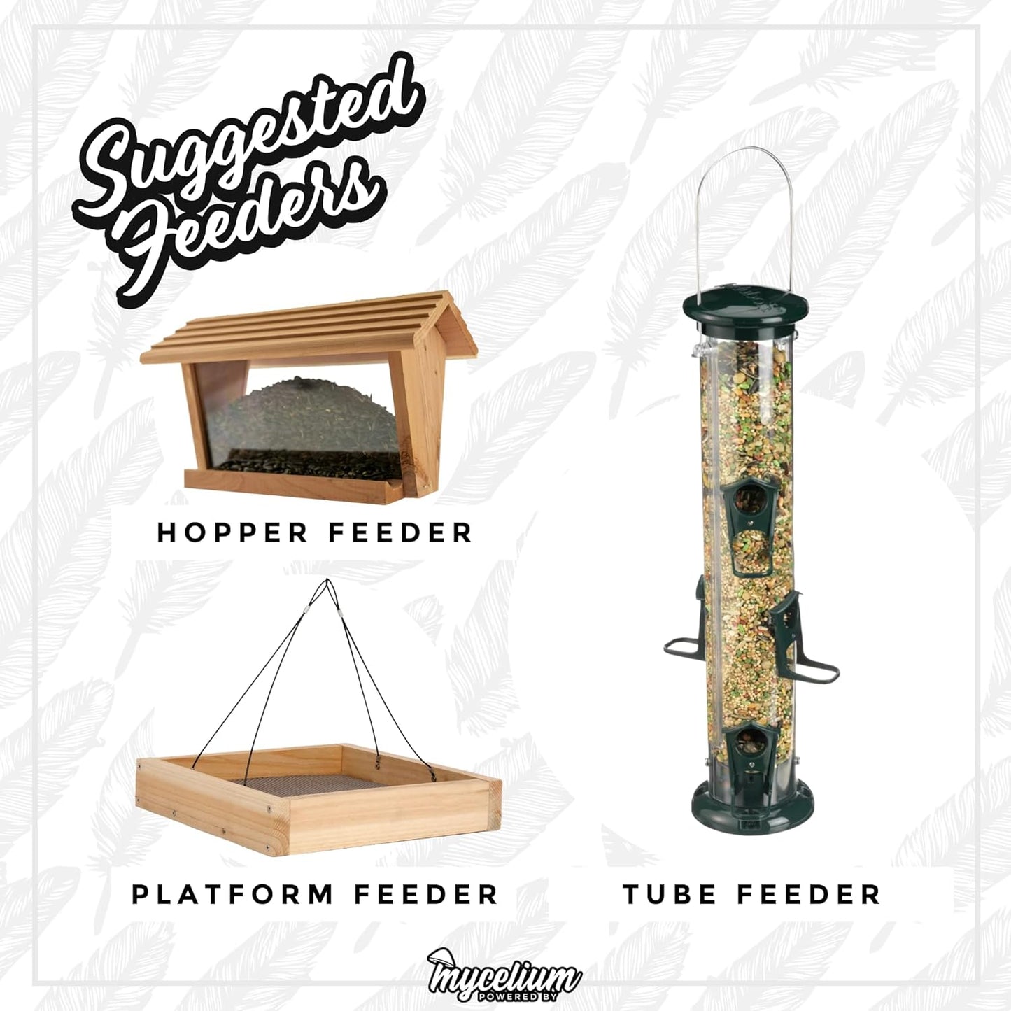 Mycelium Premium Flax Seed – Organic, Non-GMO, High Nutritional Value Bird Food for Parakeets, Canaries, and Finches, Sourced from Local USA Farms, Sustainable Farming, 5 lbs