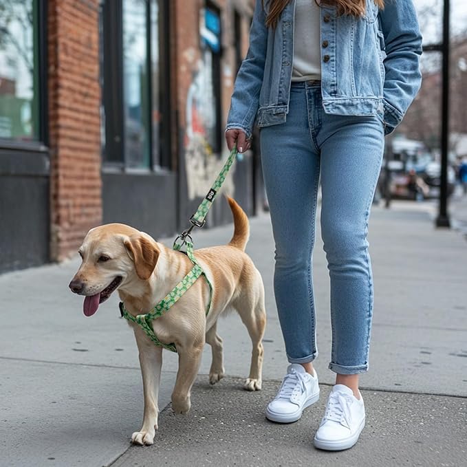 QQPETS Dog Harness Leash Set Adjustable Heavy Duty No Pull Halter Harnesses for Small Medium Large Breed Dogs Back Clip Anti-Twist Perfect for Walking