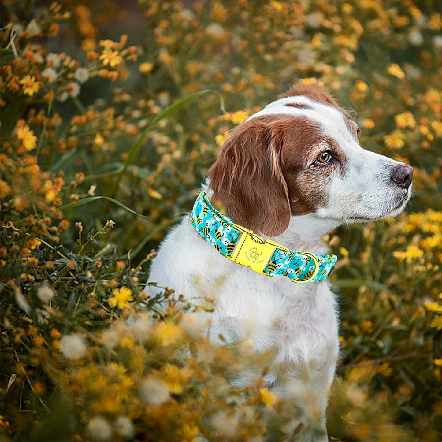 Elegant Little Tail Summer Pet Collar, Durable Bees Print Dog Collar, M, 1 Inch Width, 13.5 Inch Length, Cotton, Unique Design, Superior Durability, Perfect for Small, Medium, Large Dogs