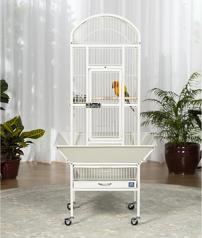 Prevue Pet Products 34512 Dometop Bird Cage, Small, Chalk White