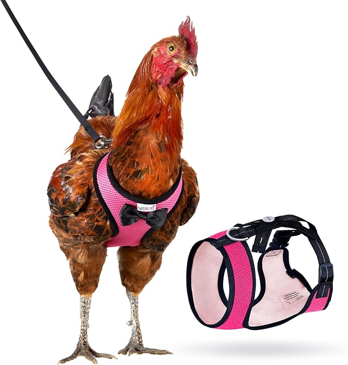 Adjustable Chicken Harness Diaper (5.4ft Leash) – Breathable & Washable Secure Training for Hens, Ducks & Chicks | Outdoor Walking & Discipline Solution (Months, Pink)