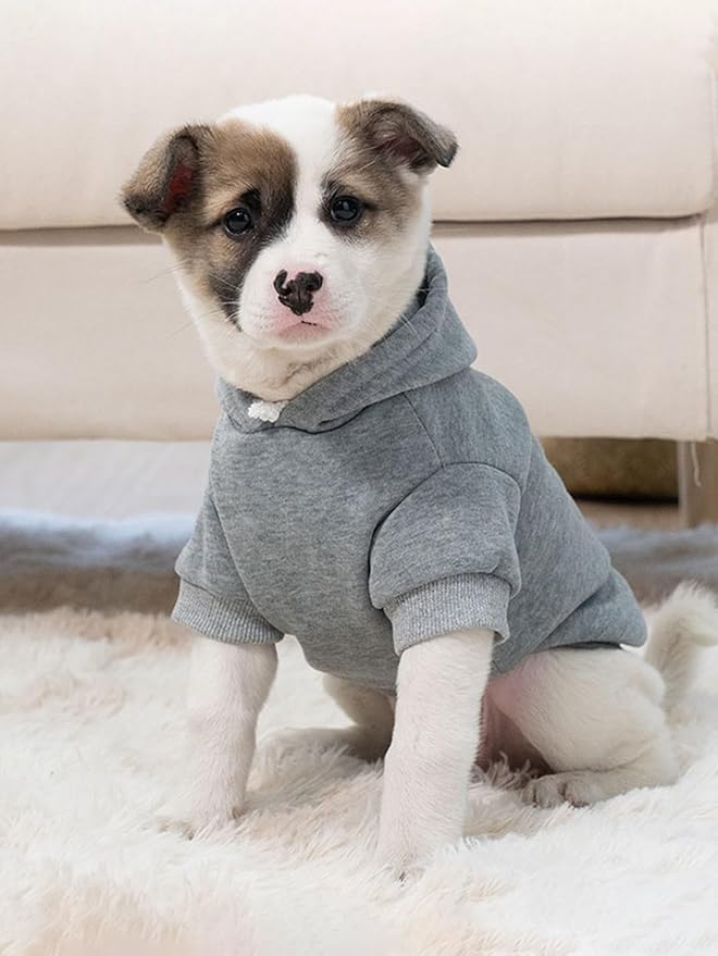 QWINEE Basic Dog Hoodie Sweatshirt Puppy Sweater Warm Cat Costumes Pet Clothes for Chihuahua Puppy Kitten Small Medium Dogs Grey and Cadet Blue X-Small