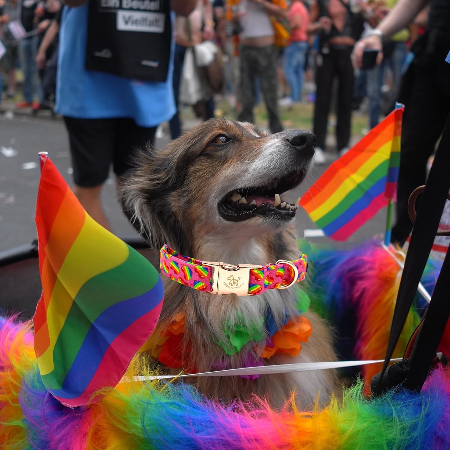 Elegant little tail Dog Collar, Holiday Pet Collar Dog Durable Rainbow Print Dog Collars Girl or Boy Soft Pet Gift Adjustable Dog Collar for Small Medium Large Dogs