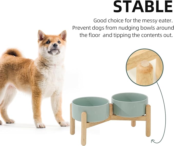 Ceramic 6.1inch Raised Dog Bowl with Stand for Small and Medium Breed Dog Dish Pet Food and Water Bowl (Double Bowl with Stand - Light Green, 28oz)