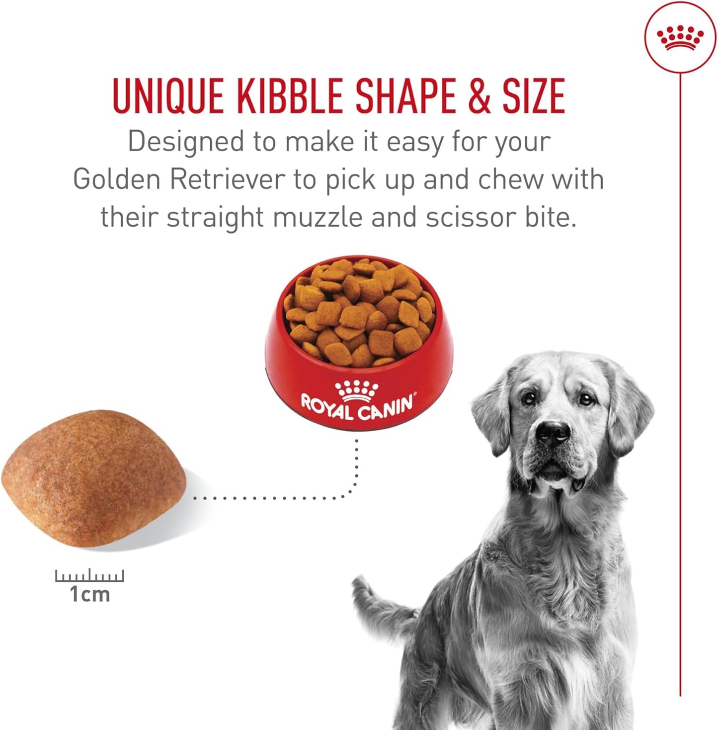 ROYAL CANIN Breed Health Nutrition Golden Retriever Adult Dry Dog Food 17 lbs.