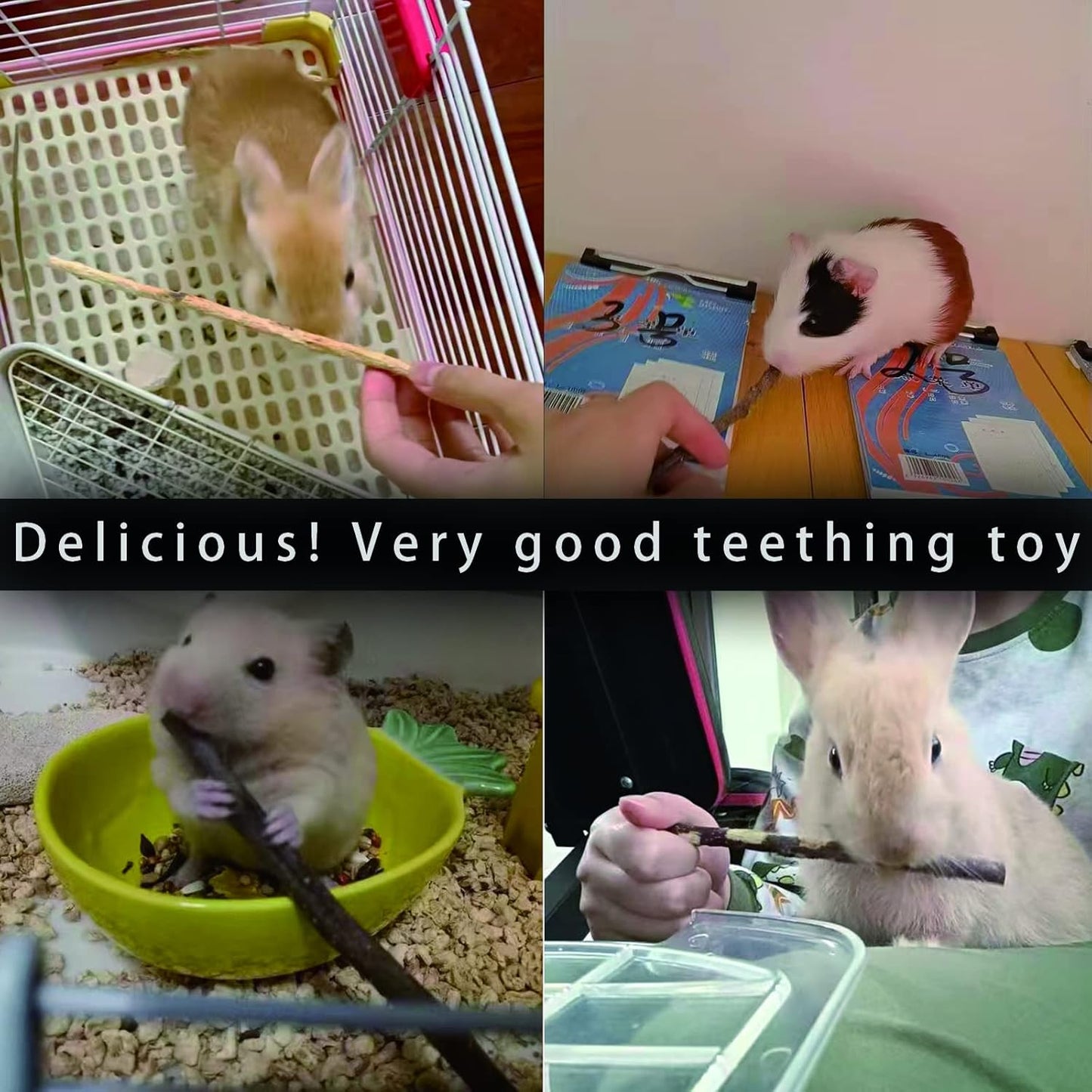 Natural Apple Sticks, 500g Treats Food for Small Animals, Chew Toys for Chinchilla Guinea Pigs Rabbit Squirrel Hamster Bunny