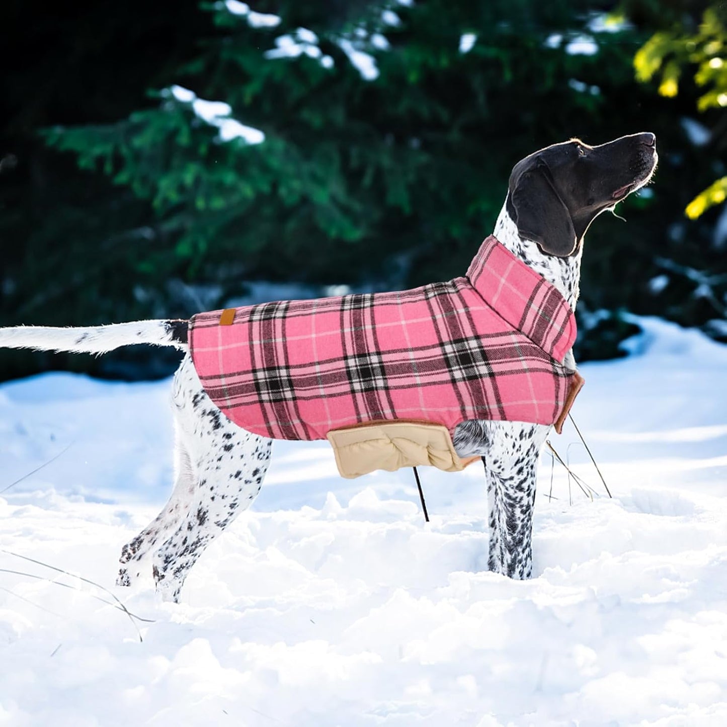 Kuoser Warm Dog Coat, Waterproof Dog Jacket for Extra Large Dogs, Adjustable Durable XXL Doggie Winter Coat Reversible Puppy Cold Weather Apparel from Small to Large Breed, Pink XXL