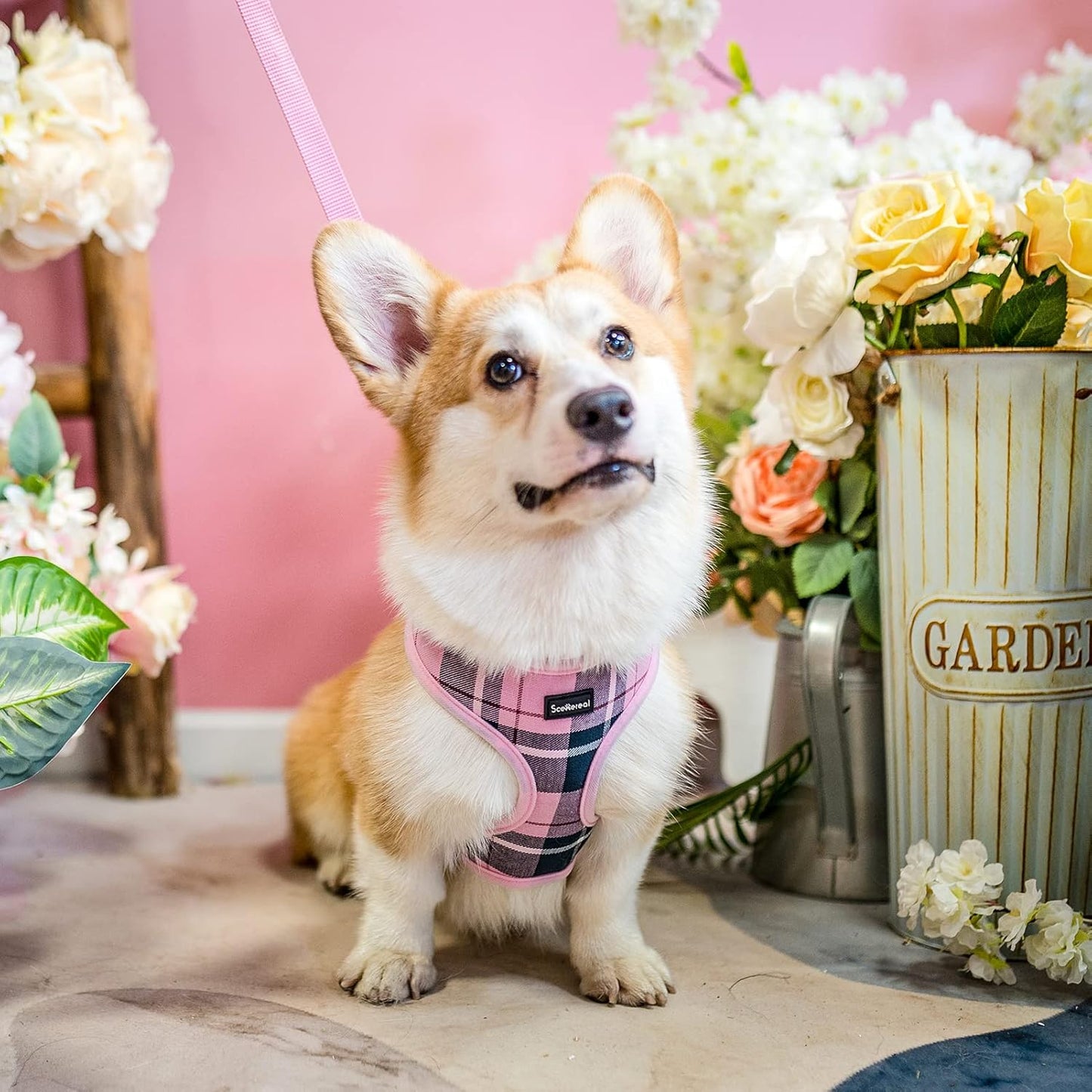 SCENEREAL Puppy Dog Harness with Leash Set for Small Medium Sized Dogs, Soft Mesh Step in Pet Harnesses and Leash, No Chock Plaid Adjustable No Pull Vest for Dogs Cats, Chihuahua,Bulldog (Pink M)